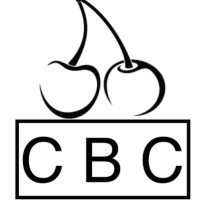 CHERRY BRICKWORK LTD logo - Similar company to Brickwork Pro
