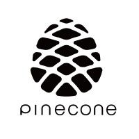 Beijing Pinecone Electronics Co. Ltd.