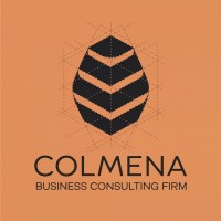 Colmena Business Consulting Firm logo - Similar company to Nauma