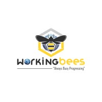 Workingbees Global Pvt Ltd logo - Similar company to Eblsys It Solutions