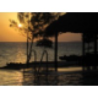 Loasis Tanzania logo - Similar company to Atenga Insights Group