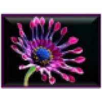 Serendip Children's home logo - Similar company to Rehoboth Children'S Home