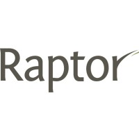 Raptor Group logo - Similar company to Verticalnet