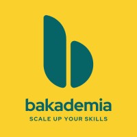 Bakademia - Kursus Digital Marketing Online logo - Similar company to Redeye