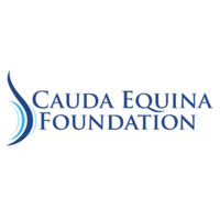 Cauda Equina Foundation