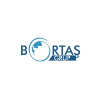 Bortaş Grup logo - Similar company to Ni̇fweb