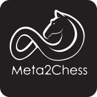 Meta2Chess logo - Similar company to Vayuplan