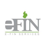 Efin Audit (Pty) Ltd logo - Similar company to Ema Cape Town (Pty) Ltd