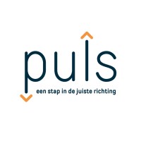 Puls logo - Similar company to Optios B.V.
