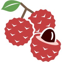 Digital Lychee logo - Similar company to Marketingcube.Co