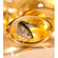 Fish oil|vitamins|softgel|tablets|protein powder|omega3,6,9 logo - Similar company to Marine Ingredients Denmark