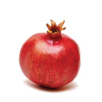 Pom'Grana logo - Similar company to Rumman - رمان