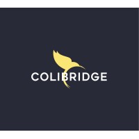 Colibridge logo - Similar company to Sykhaï