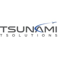 Tsunami Tsolutions Japan G.K. logo - Similar company to Flexicode