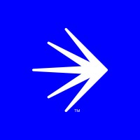 Netiqs Ltd logo - Similar company to V-Nova Ltd.