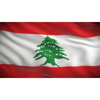 Alliance for Lebanese Christian Organizations logo - Similar company to Bethlehem University Foundation