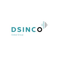 DSINCO GLOBAL GROUP logo - Similar company to S&E Partners