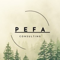 PEFA Consulting logo - Similar company to Agnasark Ab