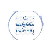 The Rockefeller School logo - Similar company to Raintree International School Cambodia