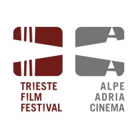 Trieste Film Festival - Alpe Adria Cinema logo - Similar company to Studio Systema