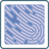 Tactile Communications