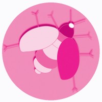 LA RUCHE logo - Similar company to Fiona Weir Casting Limited