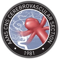 AANS/CNS Joint Cerebrovascular Section logo - Similar company to Association Des Médecins Internes De Tanger - Amit