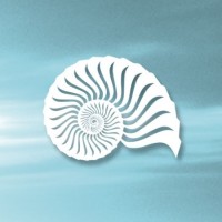 The Saturday Center logo - Similar company to Pacific Primary