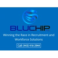 Bluchip Search logo - Similar company to Bluchip.Gr