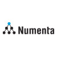 Numenta logo - Similar company to Natural Intelligence Systems
