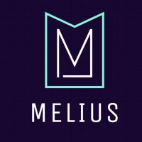 Melius Techno Advisor Pvt. Ltd logo - Similar company to D.Zignscape Professionals Ltd.