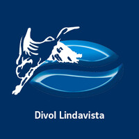Divol Lindavista logo - Similar company to Divol Technologies