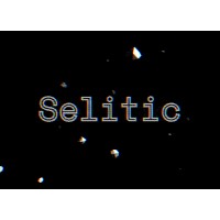 Selitic.com logo - Similar company to Termus.Ai