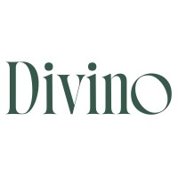 Divino logo - Similar company to Vasai Timber Industries Pvt. Ltd.