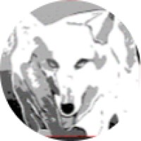 Wolf Risk Management Sa