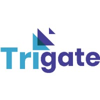 Trigate Consulting logo - Similar company to Lmg8