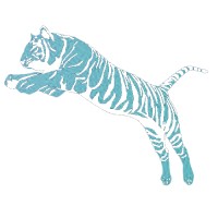 ShamanduFutures logo - Similar company to Shamandu