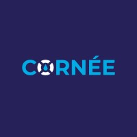 Cornée