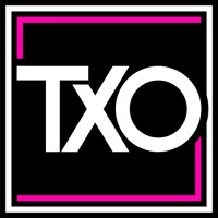 The Experience Officer logo - Similar company to Akari