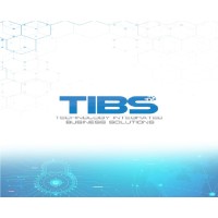 Technology Integrated Bussiness Solution -TIBS logo - Similar company to Marquestech