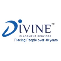 Divine Placement Services logo - Similar company to Anant Enterprise