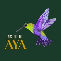 Instituto Aya logo - Similar company to Aya Earth Partners