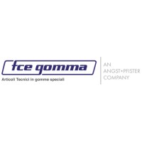 FCE GOMMA SRL logo - Similar company to Hydraulikpoint Dam Gmbh