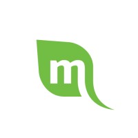 Mint Media Ltd. logo - Similar company to Orko I.T.