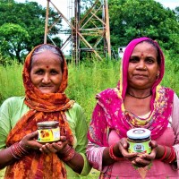 Dharm Foods Enterprises logo - Similar company to Pahadi Source