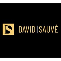 David | Sauvé LLP logo - Similar company to Danse Danse