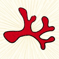 Coral logo - Similar company to Core Convergence