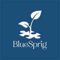 BlueSprig - formerly Thrive Autism Solutions logo - Similar company to Nurture Behavioral Health And Education Services