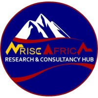 Arise Africa Research and Consultancy Hub logo - Similar company to Research Evaluation Consulting, Llc