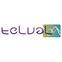 TELVAL Solutions logo - Similar company to Telval Sas